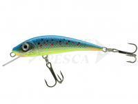 Esca River Custom Baits Fury 7 cm 6g - T011