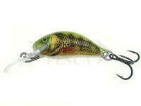 Salmo Hornet H2S  RIP