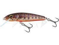 Esche Salmo Minnow Floating 5 | 5cm 3g | 2" 1/16oz - Fresh Water Minnow