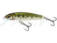 Esche Salmo Minnow Floating 5 | 5cm 3g | 2" 1/16oz - Yamame Ayu