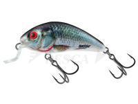 Esche Salmo Rattlin Hornet Shallow SR 4.5cm 5.5g - Holographic Real Dace (HRD)