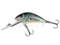Esche Salmo Salmo Hornet 5cm 7g F - Real Dace