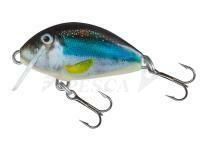 Salmo Tiny IT3F - Holo Smelt (HSM)