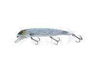 Esca Savage Gear Sucker Flanker 25cm 107g - Cisco Glitter