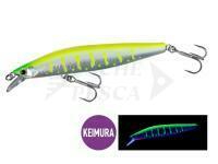 Esca Shimano Cardiff ML Bullet AR-C 93mm 10g - 011 N Chart
