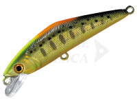 Esca Smith D-Contact 72mm 9.5g - 52 CG Indicator