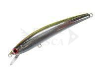 Esca Smith Panish Area 55R 5.5cm 2.3g - 02 HV Wakasagi