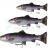 Savage Gear 4D Pulsetail Trout