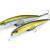 Pontoon 21 Esche Cablista