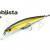 Pontoon 21 Esche Cablista