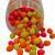 Osmo Innovation Baits Egg Wafters Eggstreme Fishing