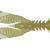 Jackall Bleeker Slit Claw 2.2