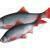 FOX Rage Ultra Natural Fillets
