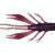 Jackall Waver Shrimp 2.8