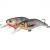 Hunter Esche Revenger