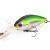 Pontoon 21 Esche Deephase