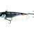 HMG Lures DeepRAP PRO 70