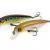 Pontoon 21 Esche Dexter Minnow