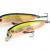 Pontoon 21 Esche Dexter Minnow