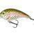 Mikado Fishunter Crazy Dots