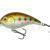 Mikado Fishunter Crazy Dots