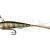 Illex Live Darter