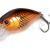 Quantum Esche Magic Trout Hustle and Bustle River