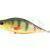 Dorado Tempter 18 Big Mama